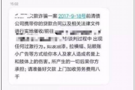 海港遇到恶意拖欠？专业追讨公司帮您解决烦恼